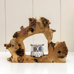 Teak Root Hideaway Baby Owl Sculpture