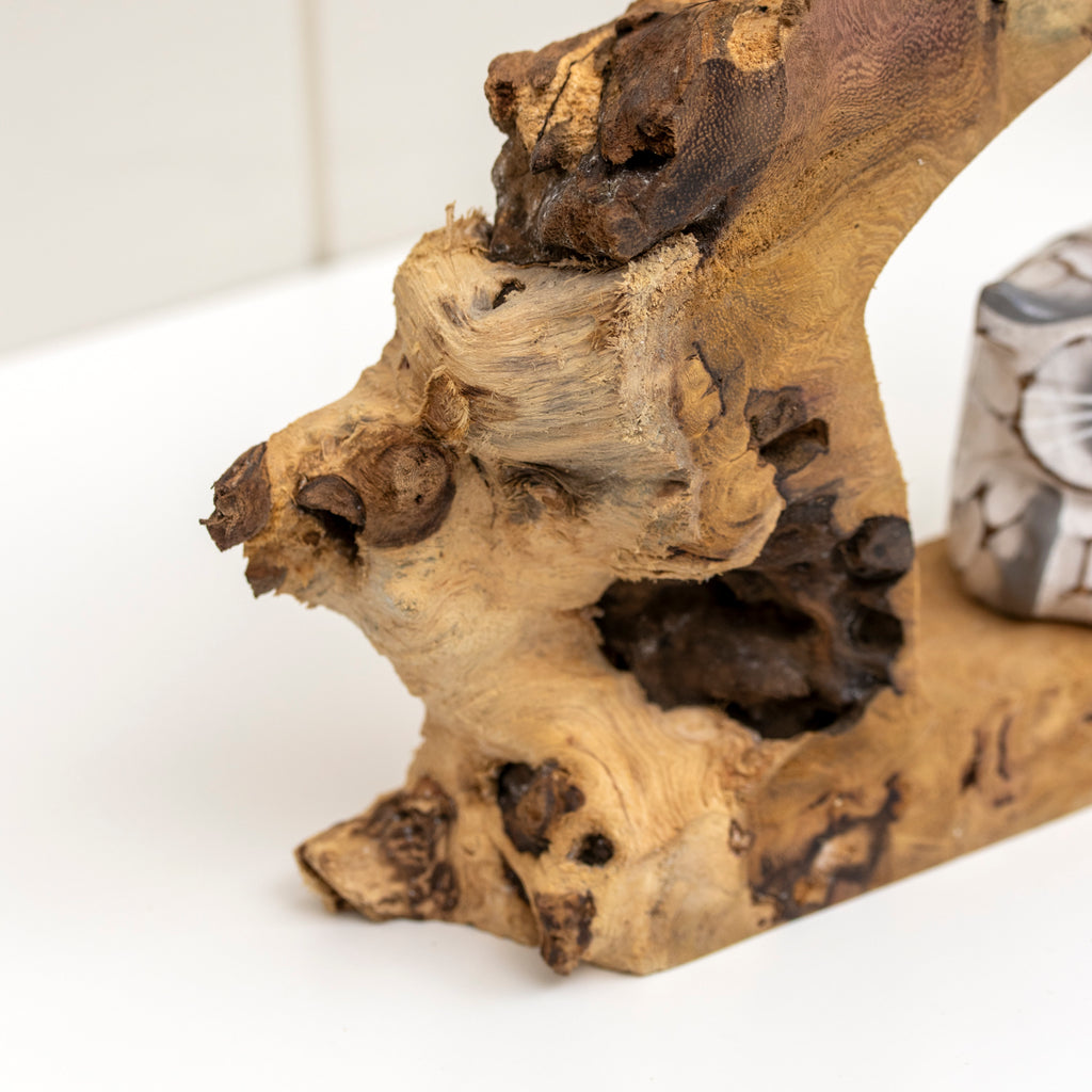 Teak Root Hideaway Baby Owl Sculpture