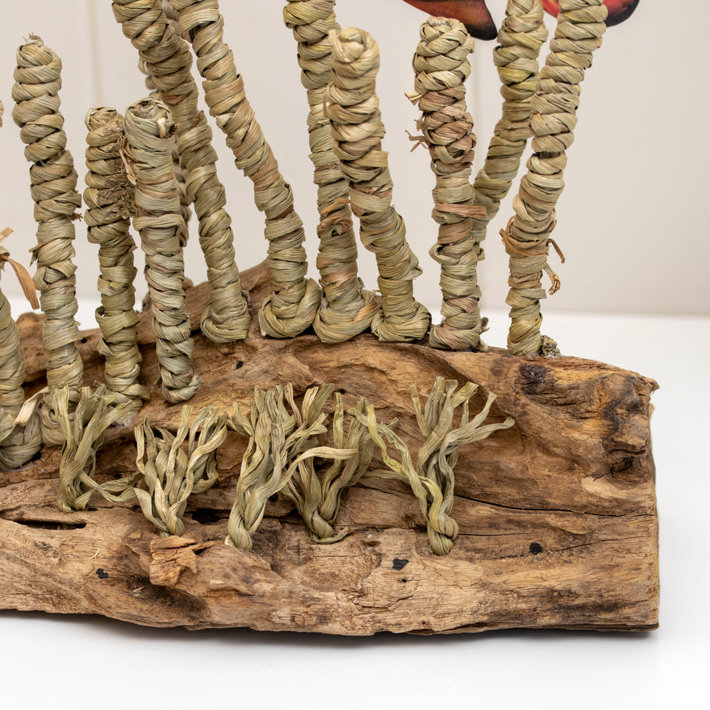 Clownfish In Seagrass On Teak Root Base Sculpture