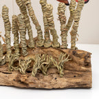 Clownfish In Seagrass On Teak Root Base Sculpture