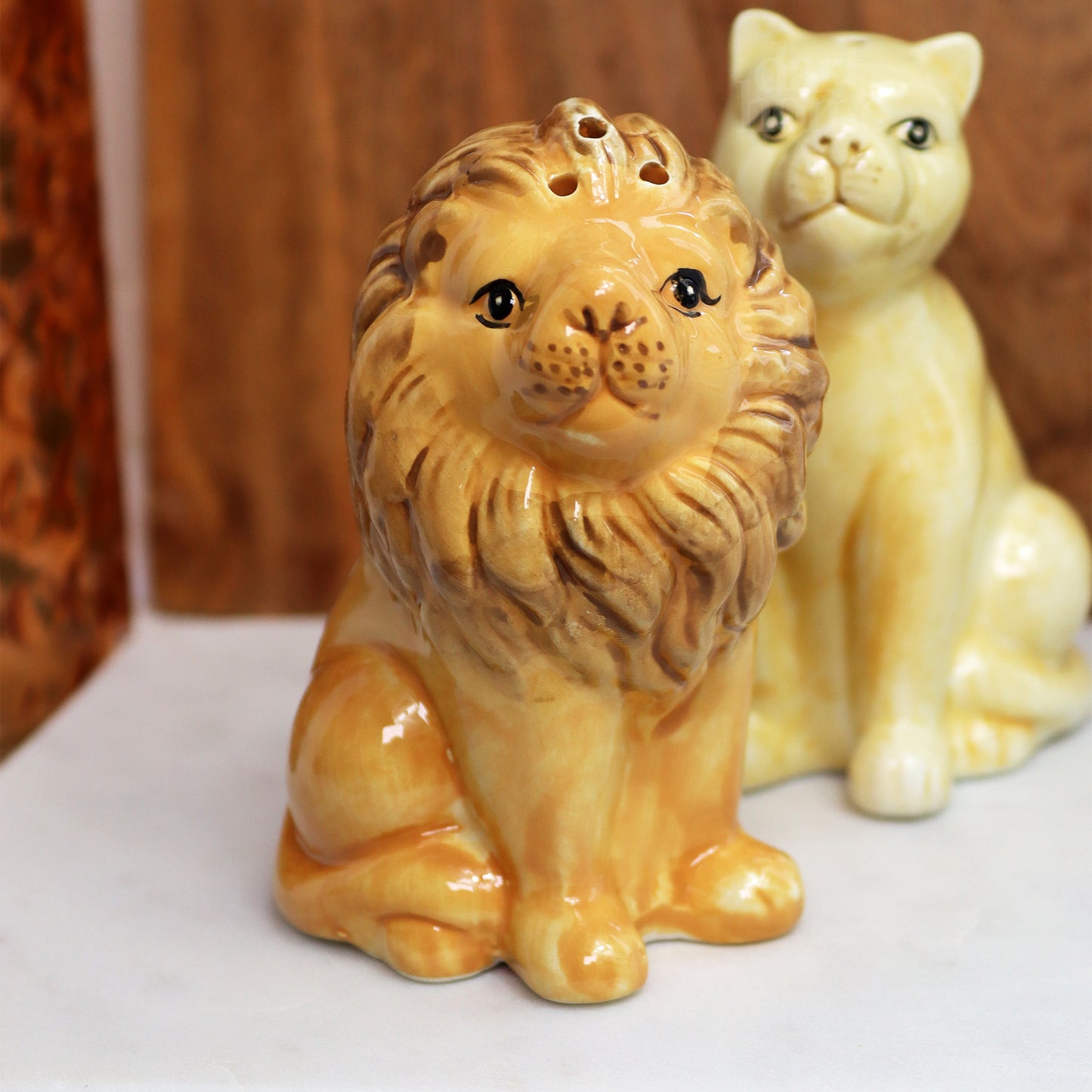Lion And Lioness Salt And Pepper Pots
