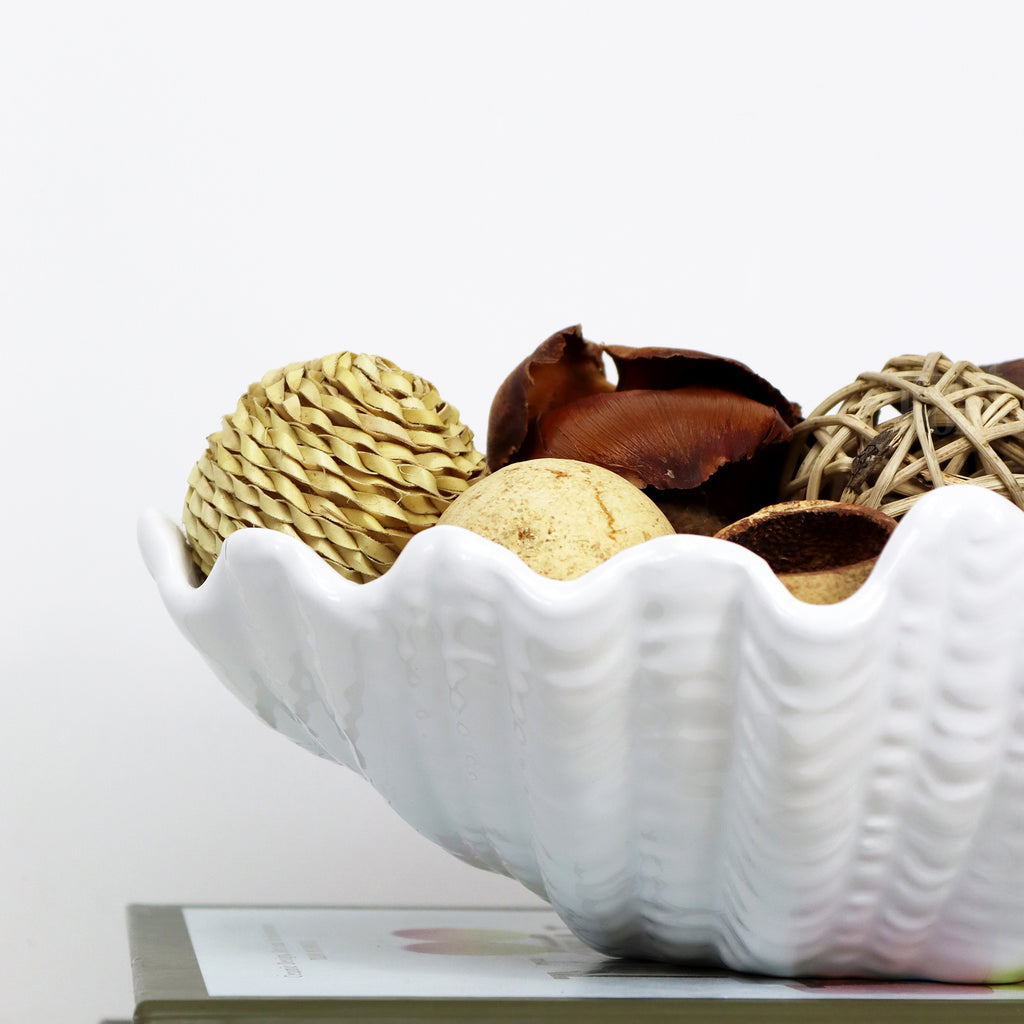 White Clam Shell Dish