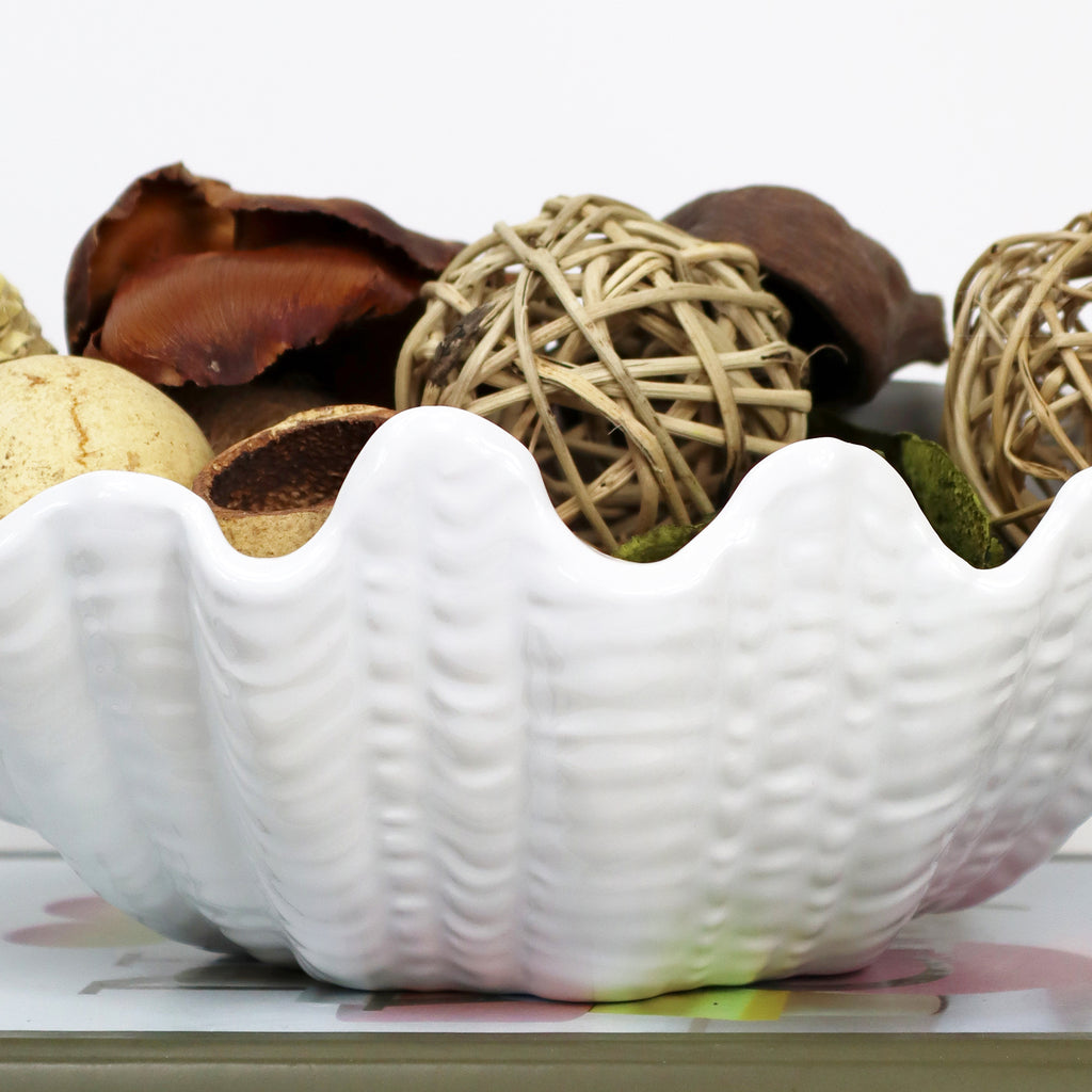 White Clam Shell Dish