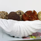 White Clam Shell Dish
