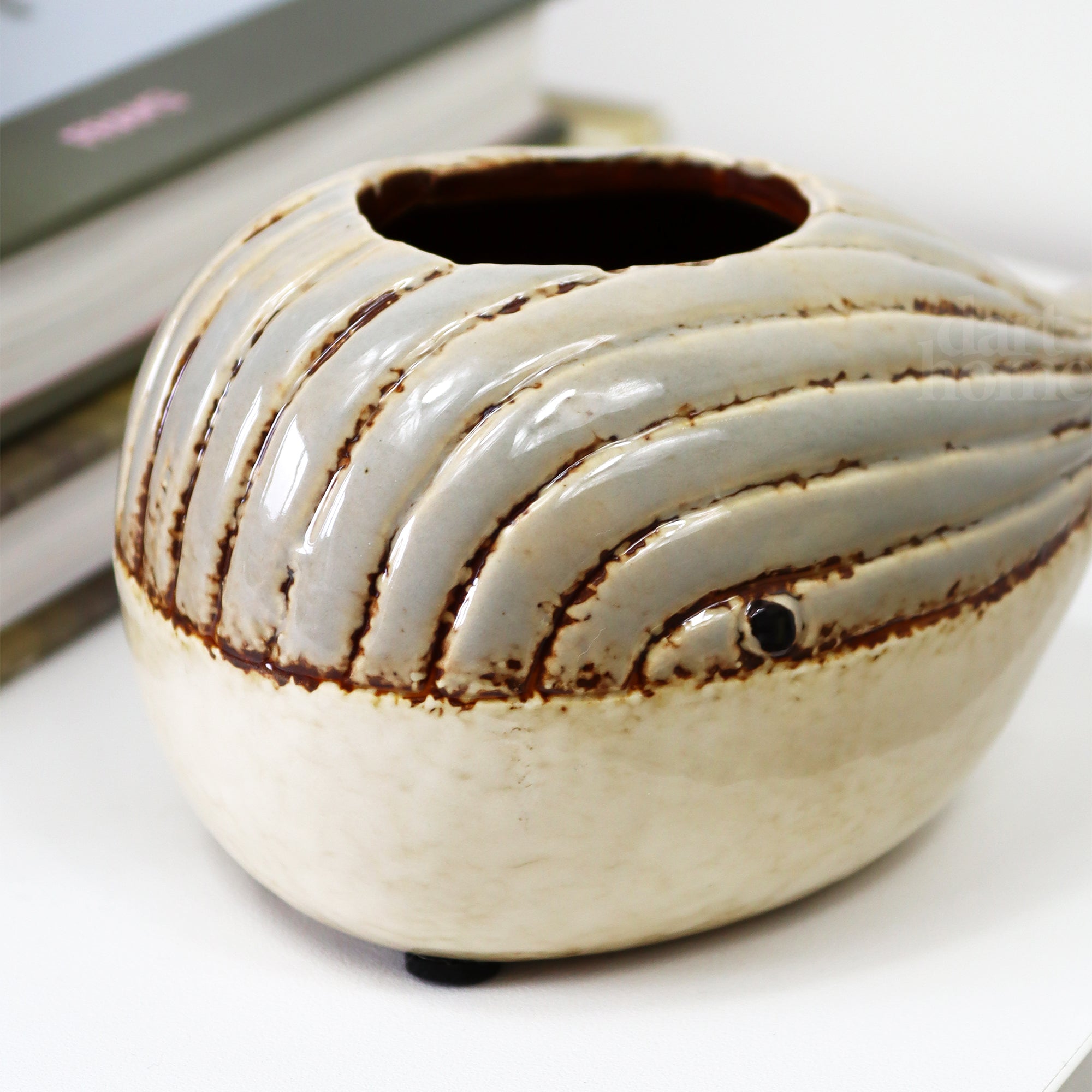 Grey Whale Succulent Planter