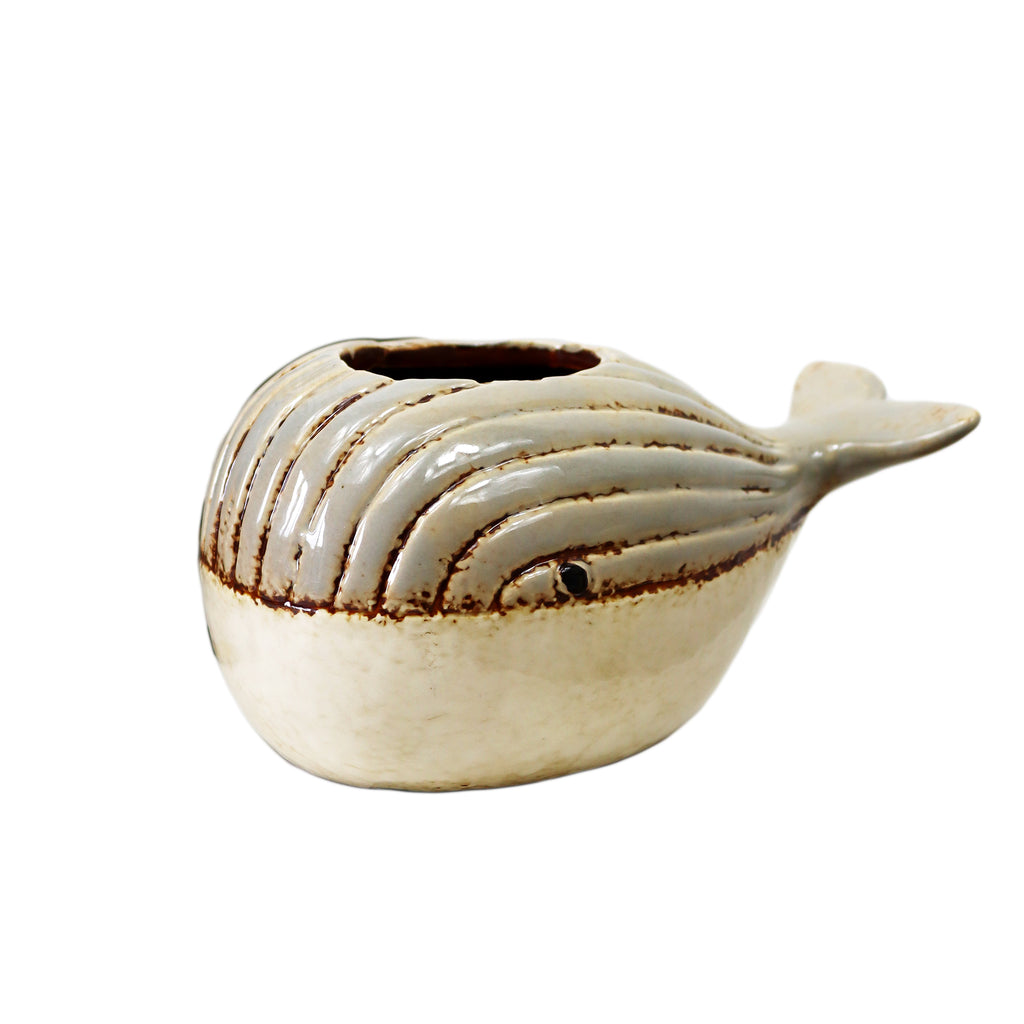 Grey Whale Succulent Planter