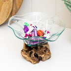 Teak Root With Flower Shaped Molten Glass Bowl