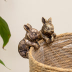 Set Of 2 Gold Rabbit Pot Hangers