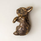 Set Of 2 Gold Rabbit Pot Hangers