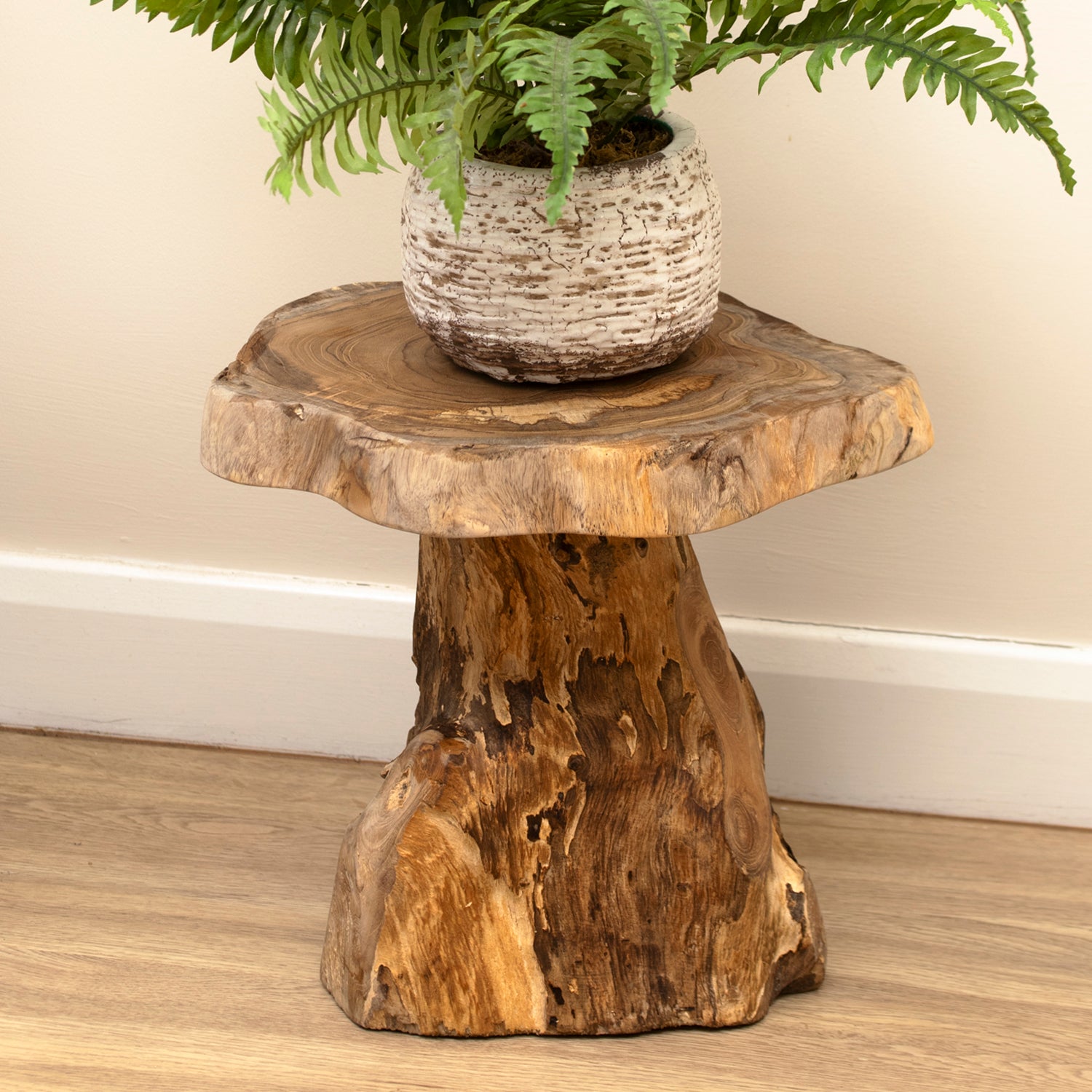 Teak Root Plant Stand