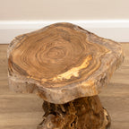 Teak Root Plant Stand