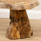 Teak Root Plant Stand