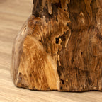 Teak Root Plant Stand