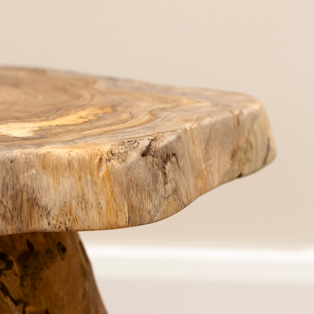 Teak Root Plant Stand