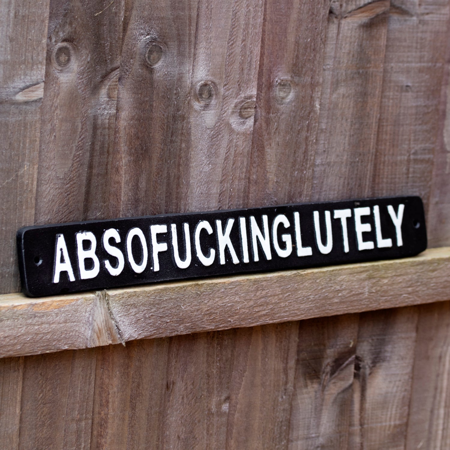 Black Absofuckinglutely Sign