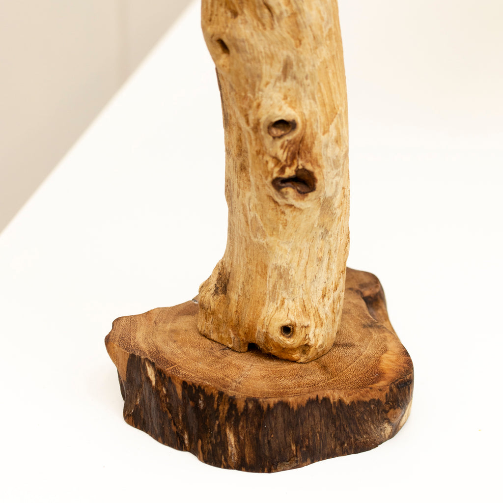 Foraging Blue Tits On Teak Root Tree Sculpture