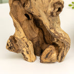 Tawny Owls In Teak Root Tree Sculpture
