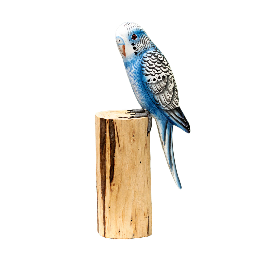 Blue Budgie On Teak Root Perch Ornament