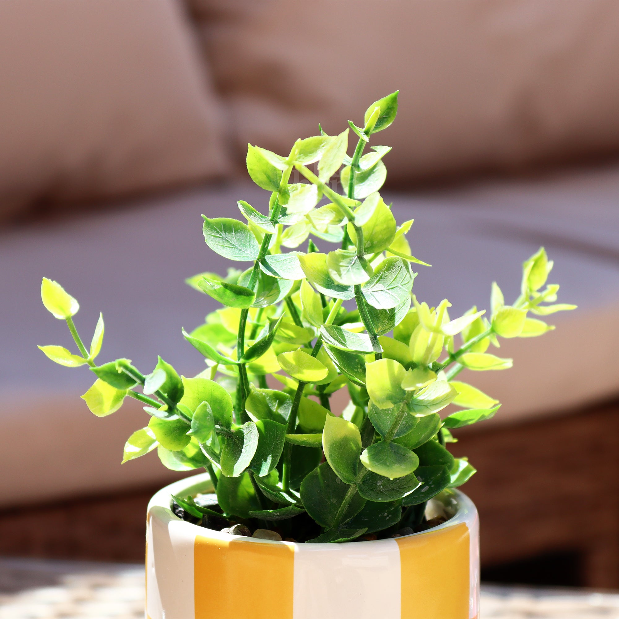 Artificial Oregano Plant In Yellow Checked Pot