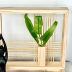 Yoga Woman Zen Garden