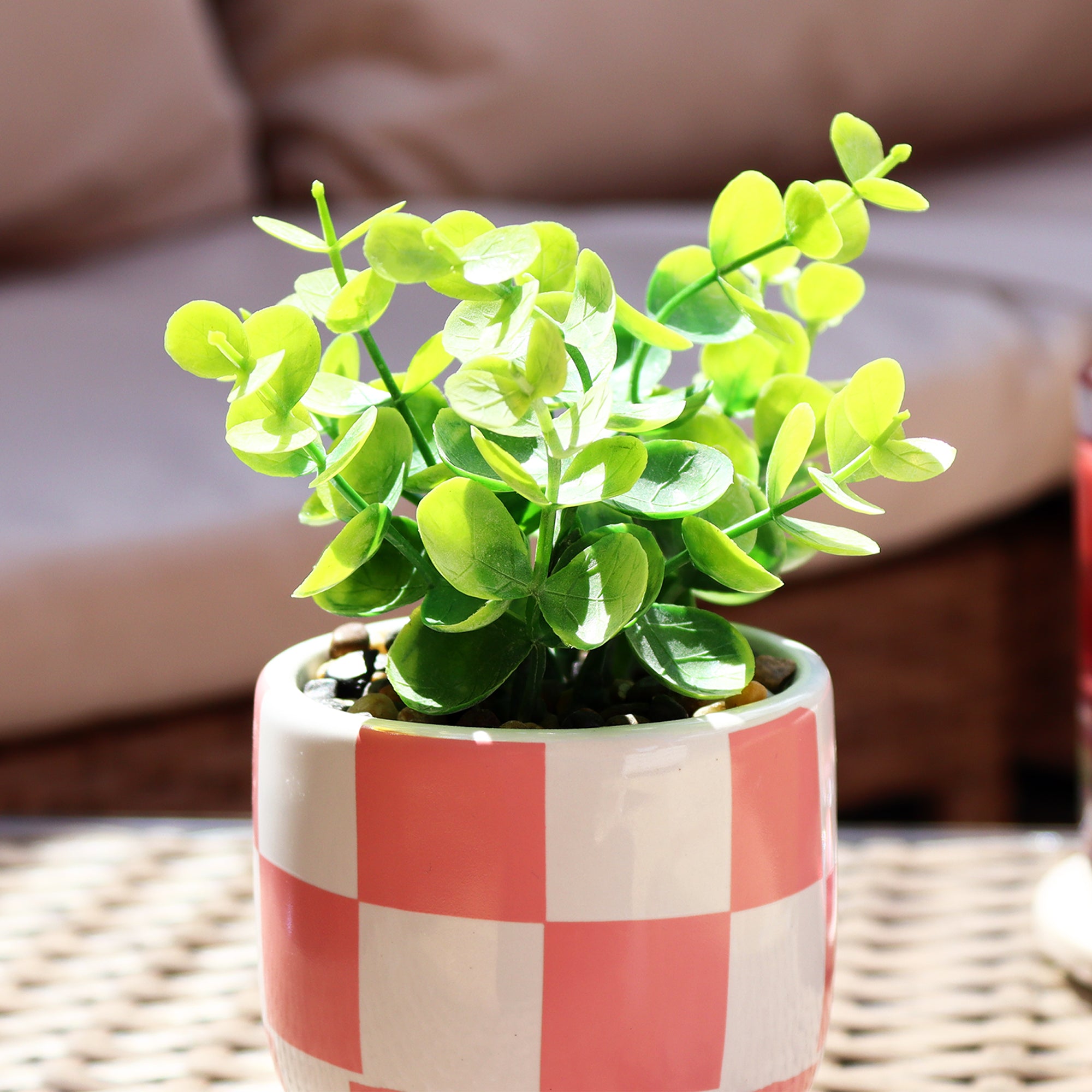Artificial Eucalyptus Plant In Pink Checked Pot