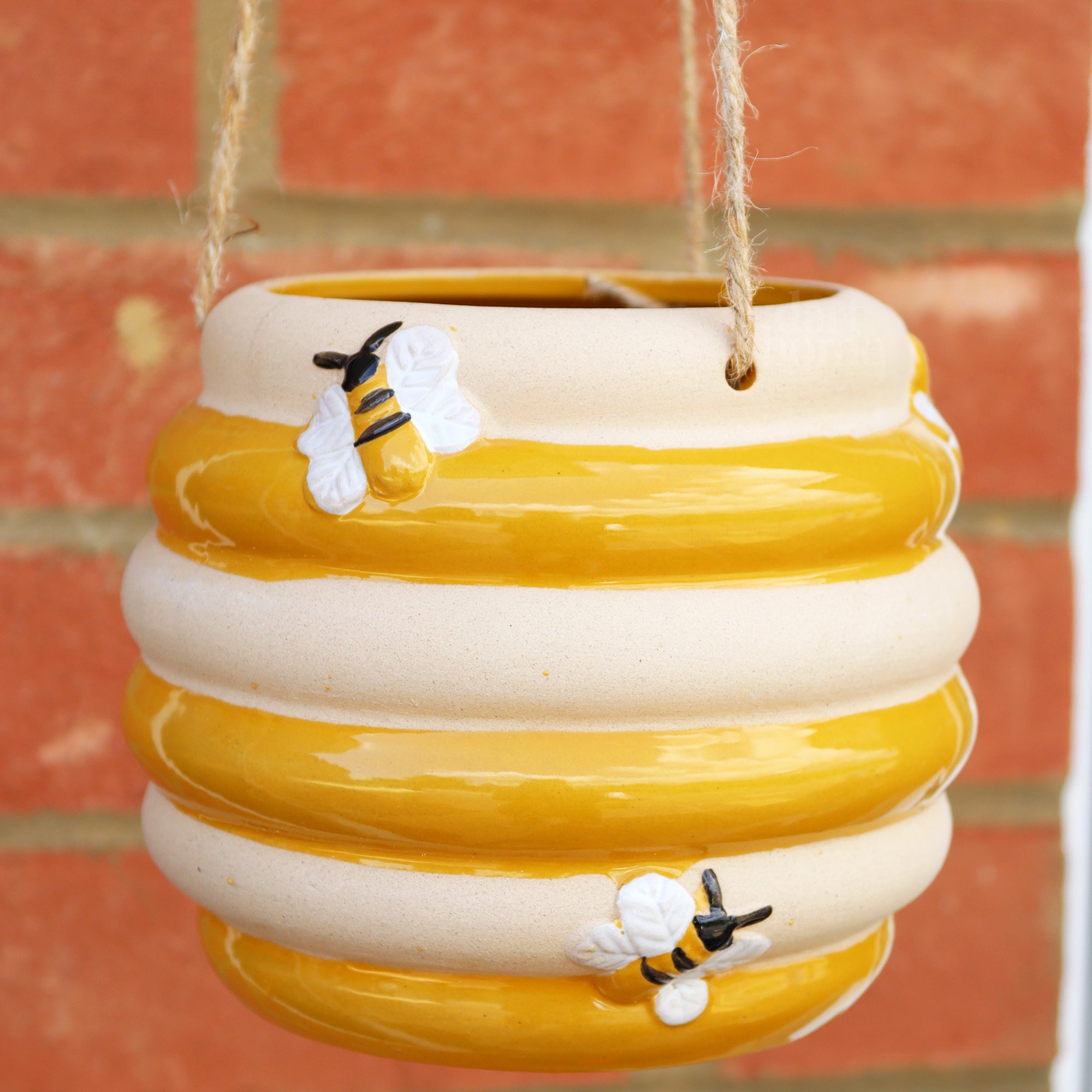 Yellow Beehive Hanging Planter