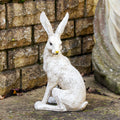 Aged White March Hare Garden Ornament - Left