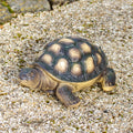 Resin Tortoise Garden Ornament