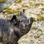 Large Aged Gold Pig Garden Ornament