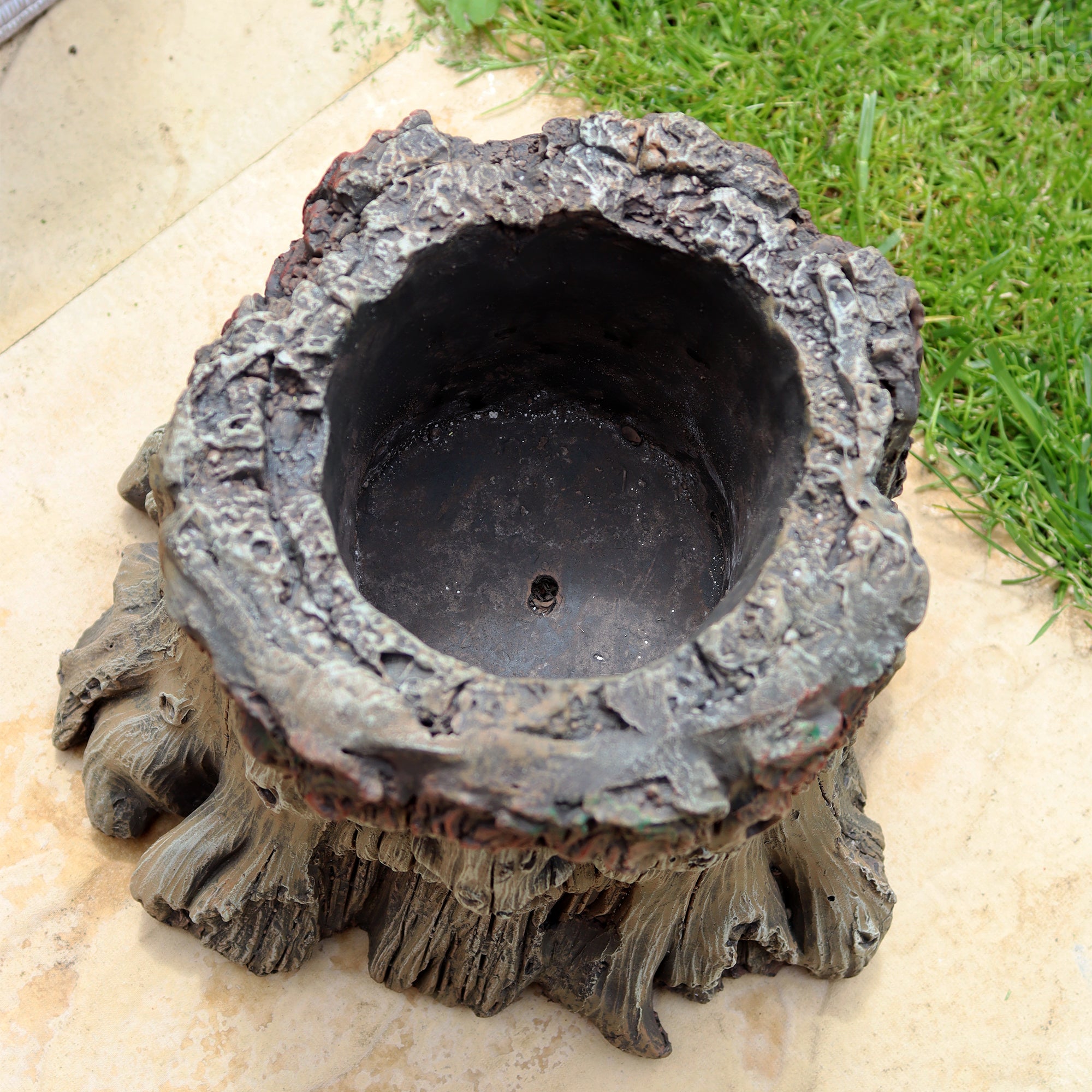 Tree Stump Face Planter