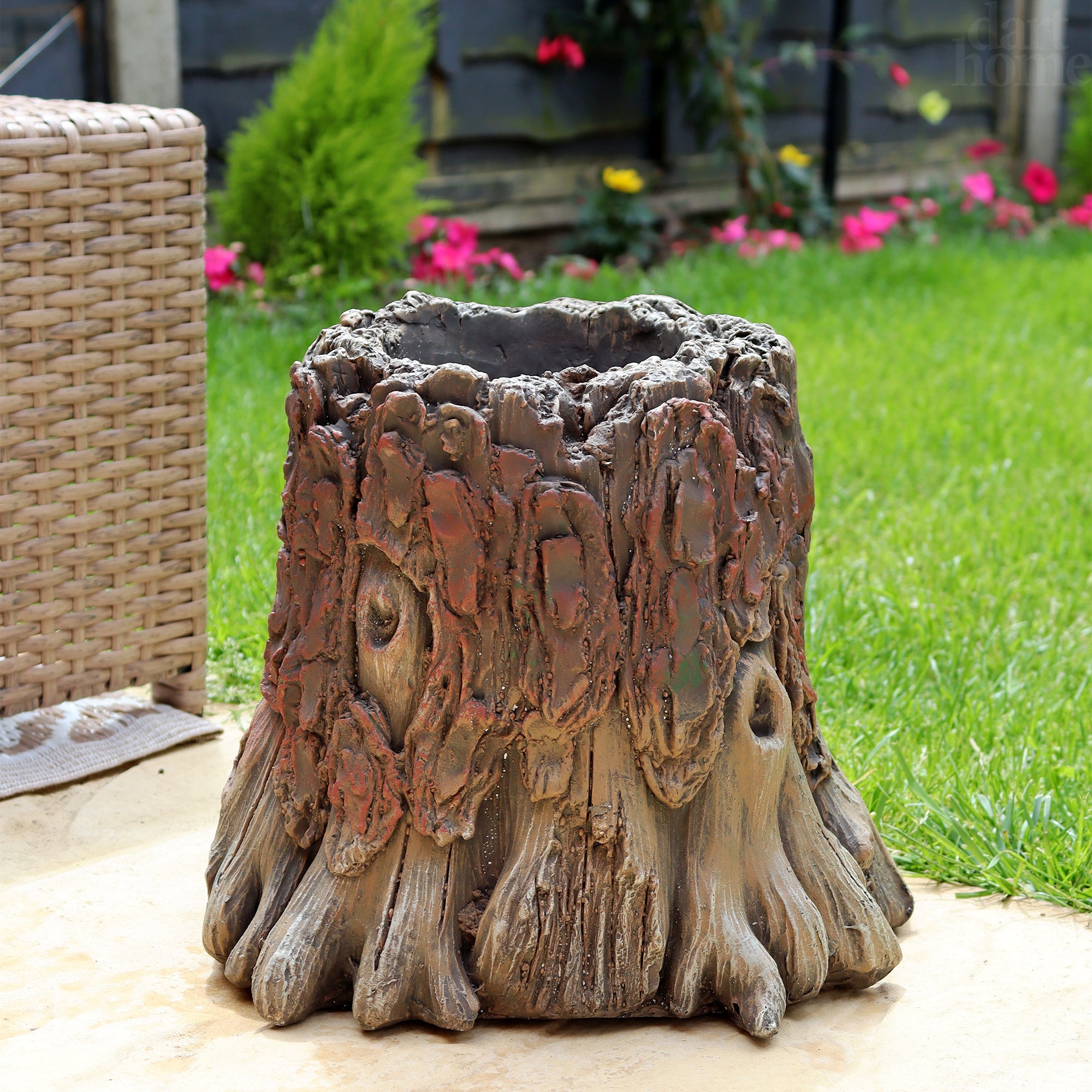 Tree Stump Face Planter