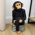 Monkey On The Rocks Ornament