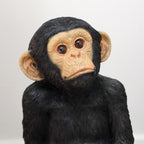 Monkey On The Rocks Ornament