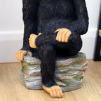 Monkey On The Rocks Ornament