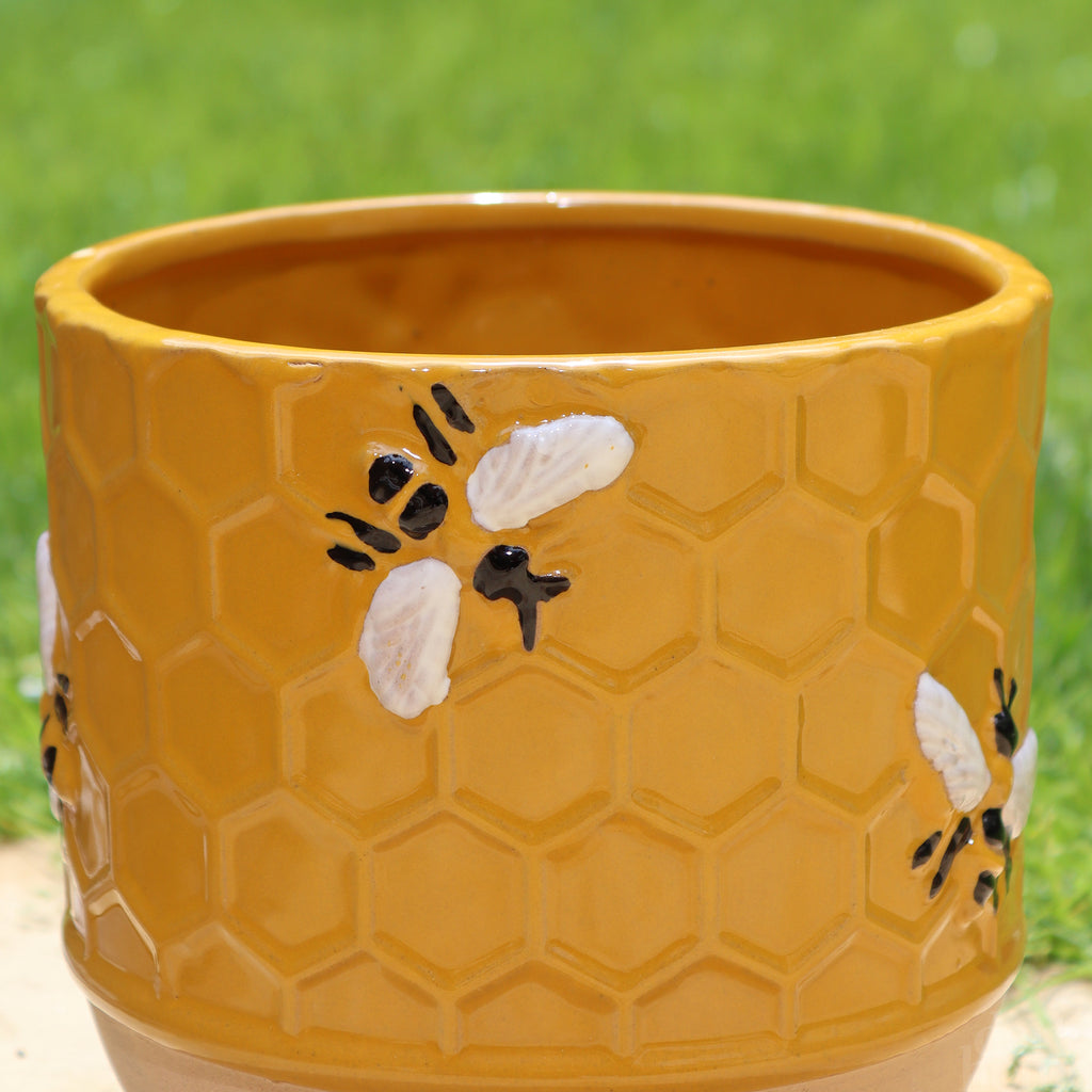 Yellow Honeycomb Bee Plant Pot