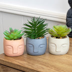 Set Of 3 Cement Buddha Head Artificial Succulents