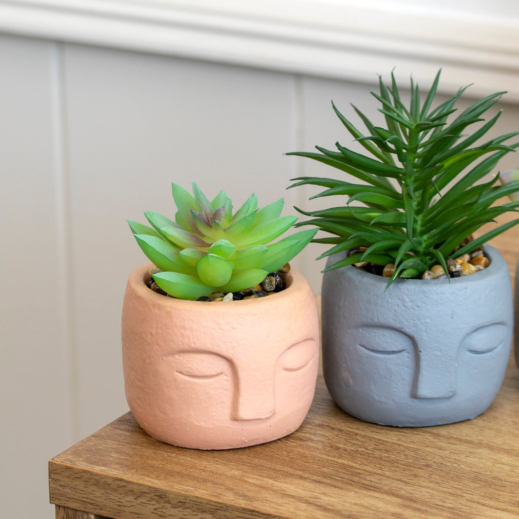 Set Of 3 Cement Buddha Head Artificial Succulents