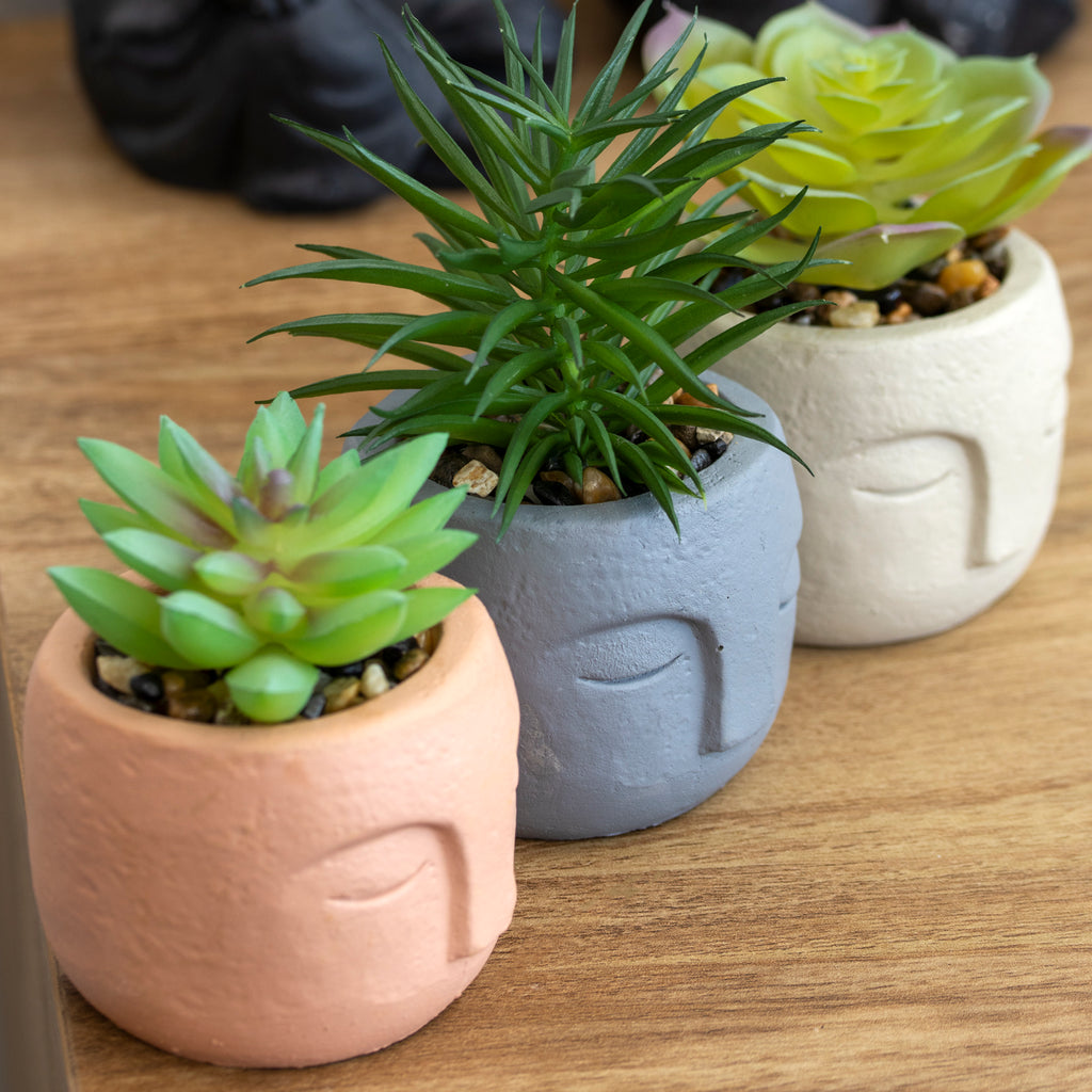 Set Of 3 Cement Buddha Head Artificial Succulents