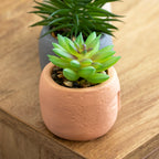 Set Of 3 Cement Buddha Head Artificial Succulents