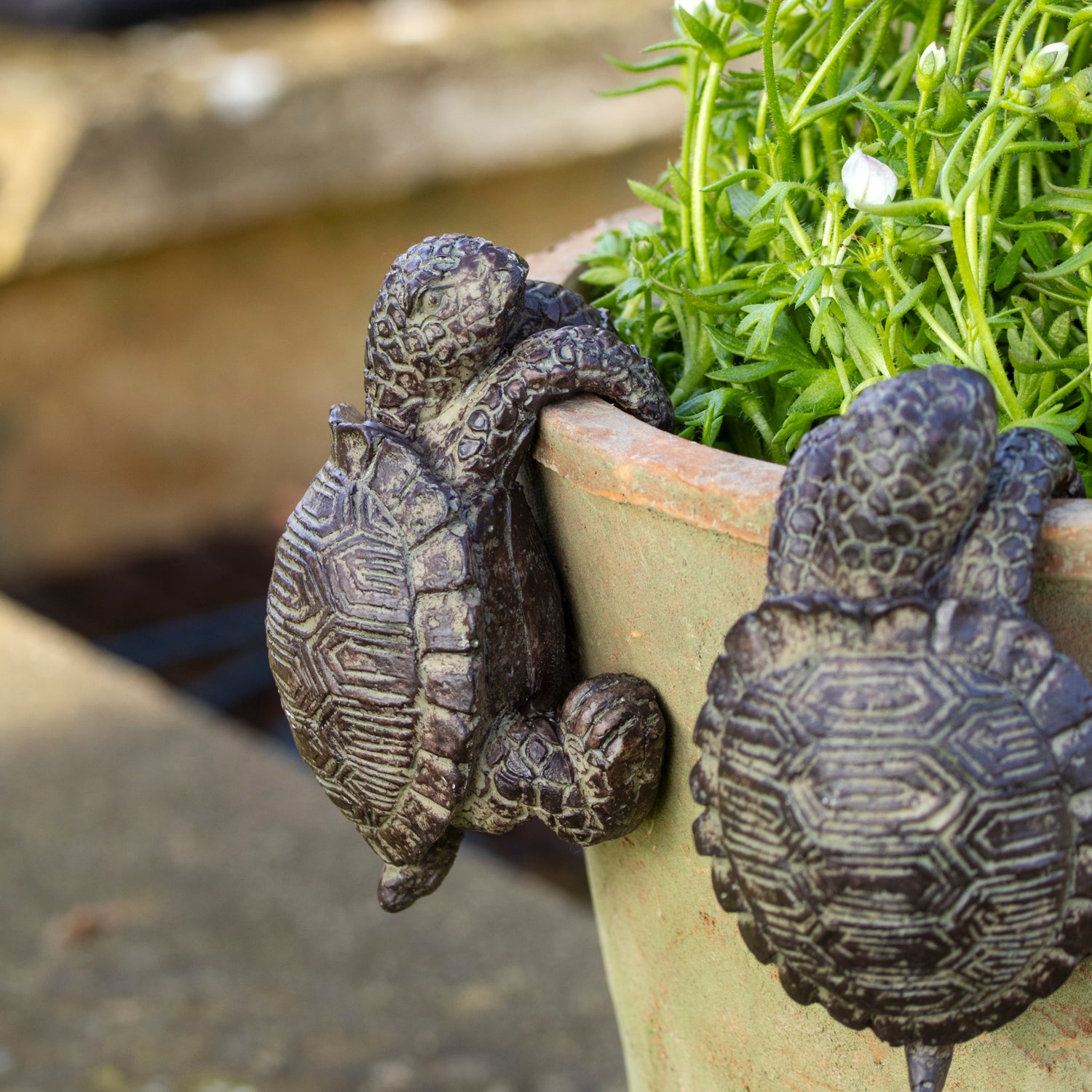 Kaninchen-Topf-Aufhänger