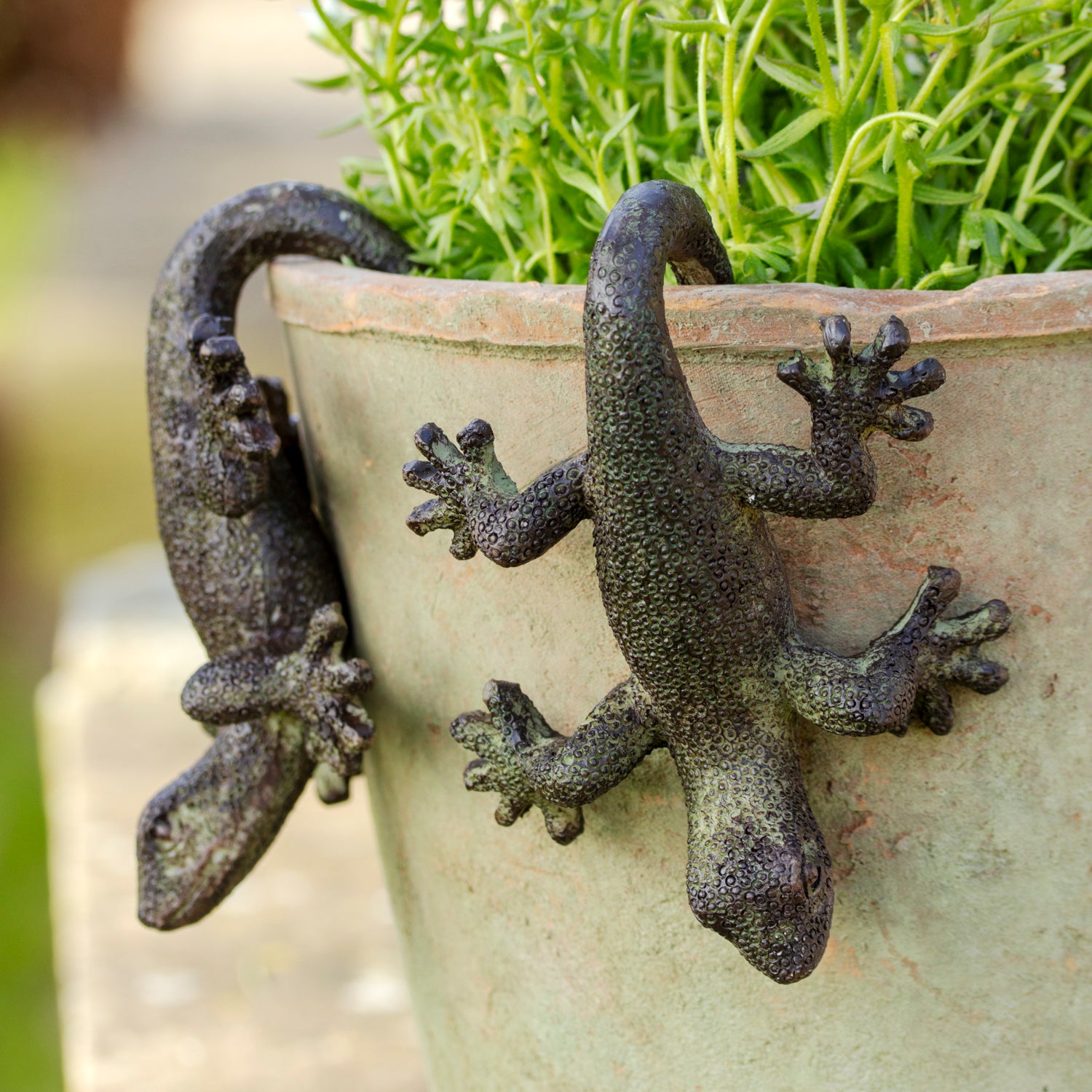 Set Of 2 Lizard Pot Hangers