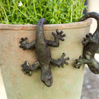 Set Of 2 Lizard Pot Hangers
