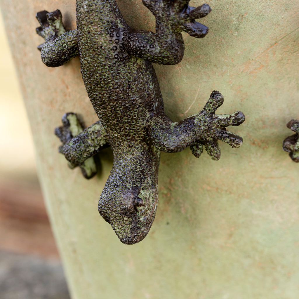 Set Of 2 Lizard Pot Hangers