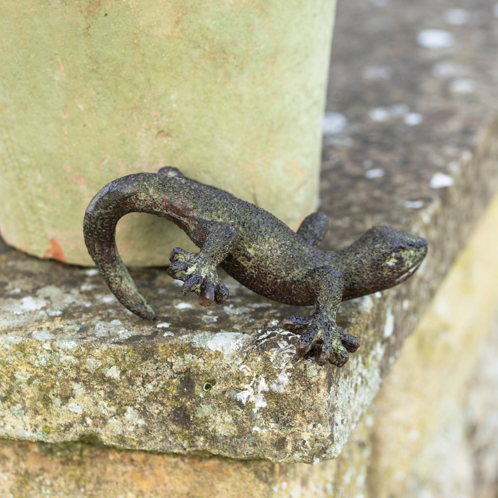 Set Of 2 Lizard Pot Hangers