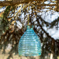 Blue Ribbed Glass Wasp Trap