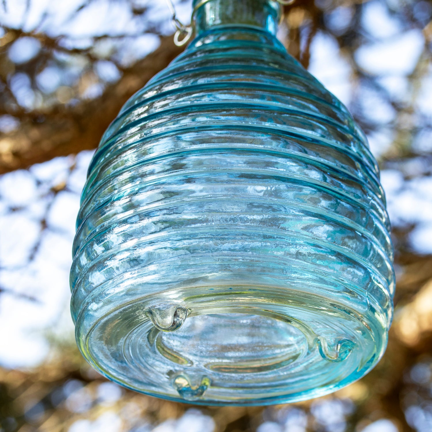 Blue Ribbed Glass Wasp Trap