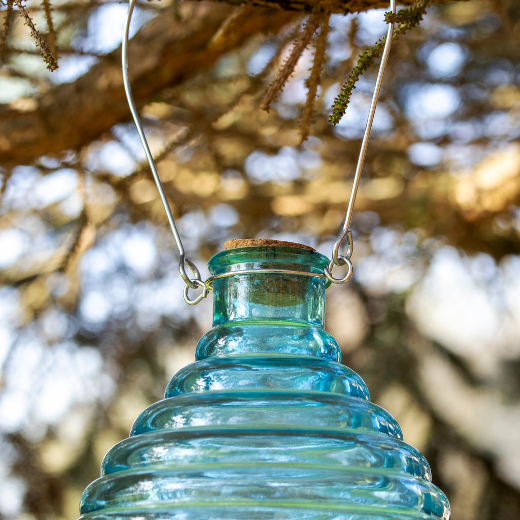 Blue Ribbed Glass Wasp Trap