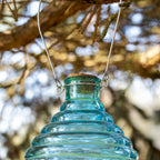 Blue Ribbed Glass Wasp Trap