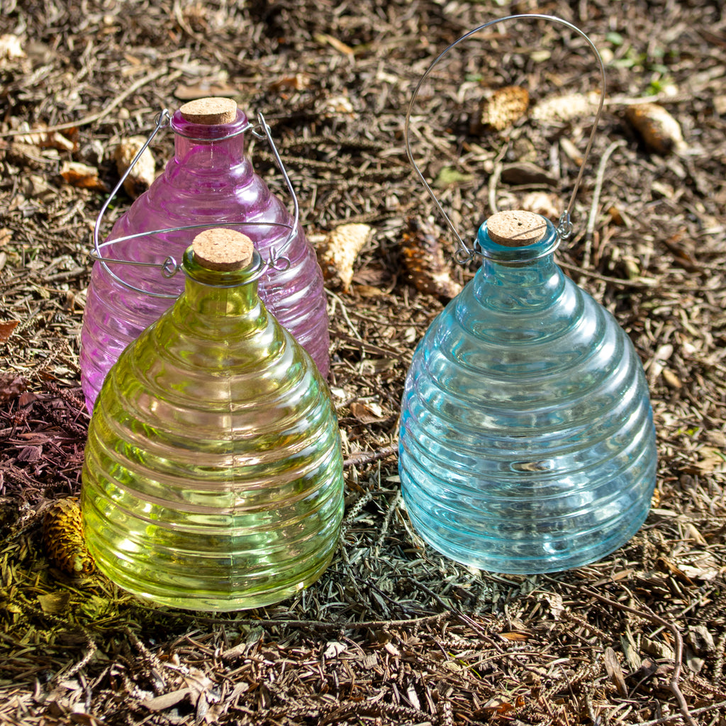 Blue Ribbed Glass Wasp Trap