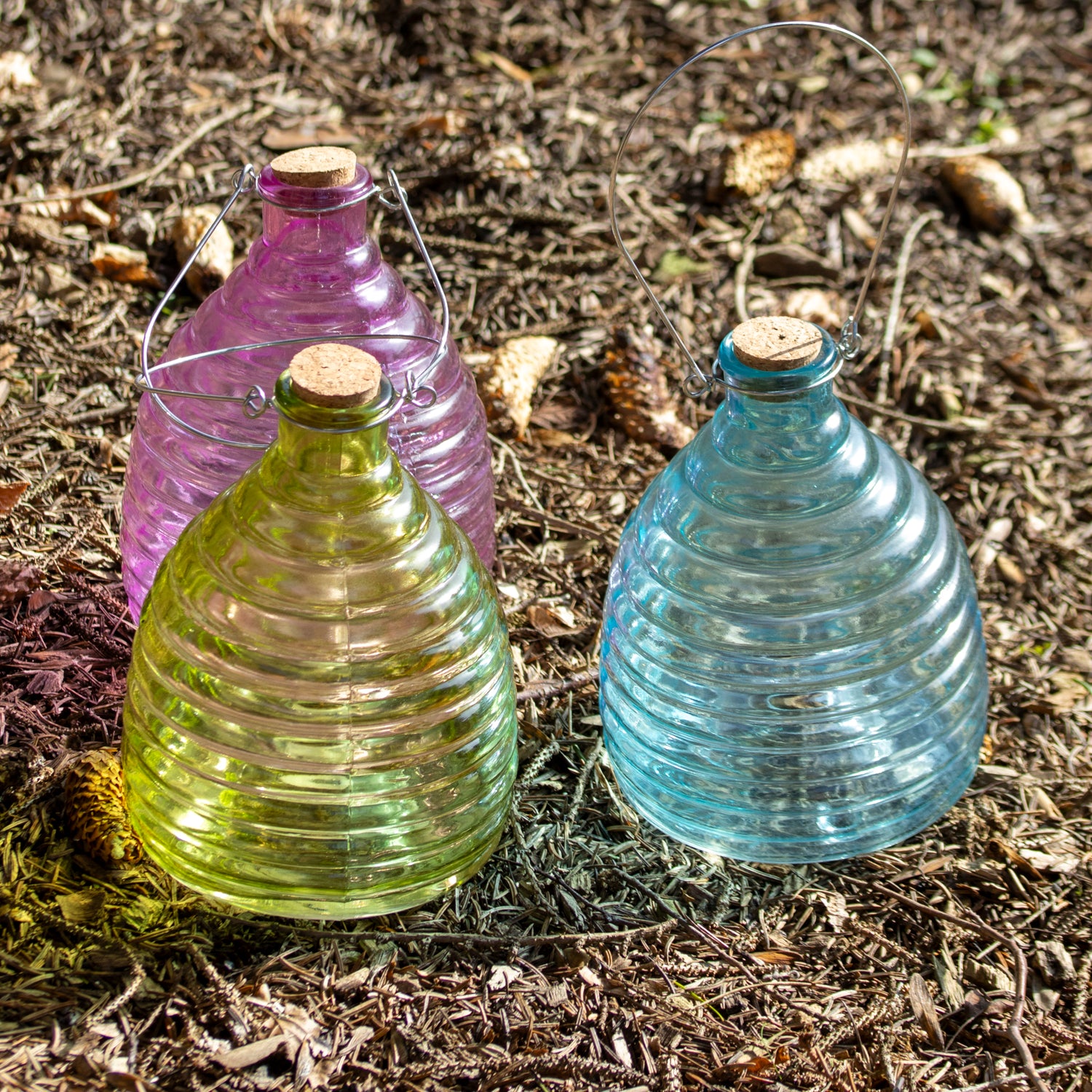 Blue Ribbed Glass Wasp Trap